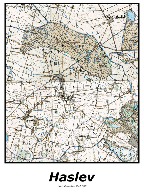 Plakat med kort over Haslev | Kortplakater over Haslev. Citymaps.dk
